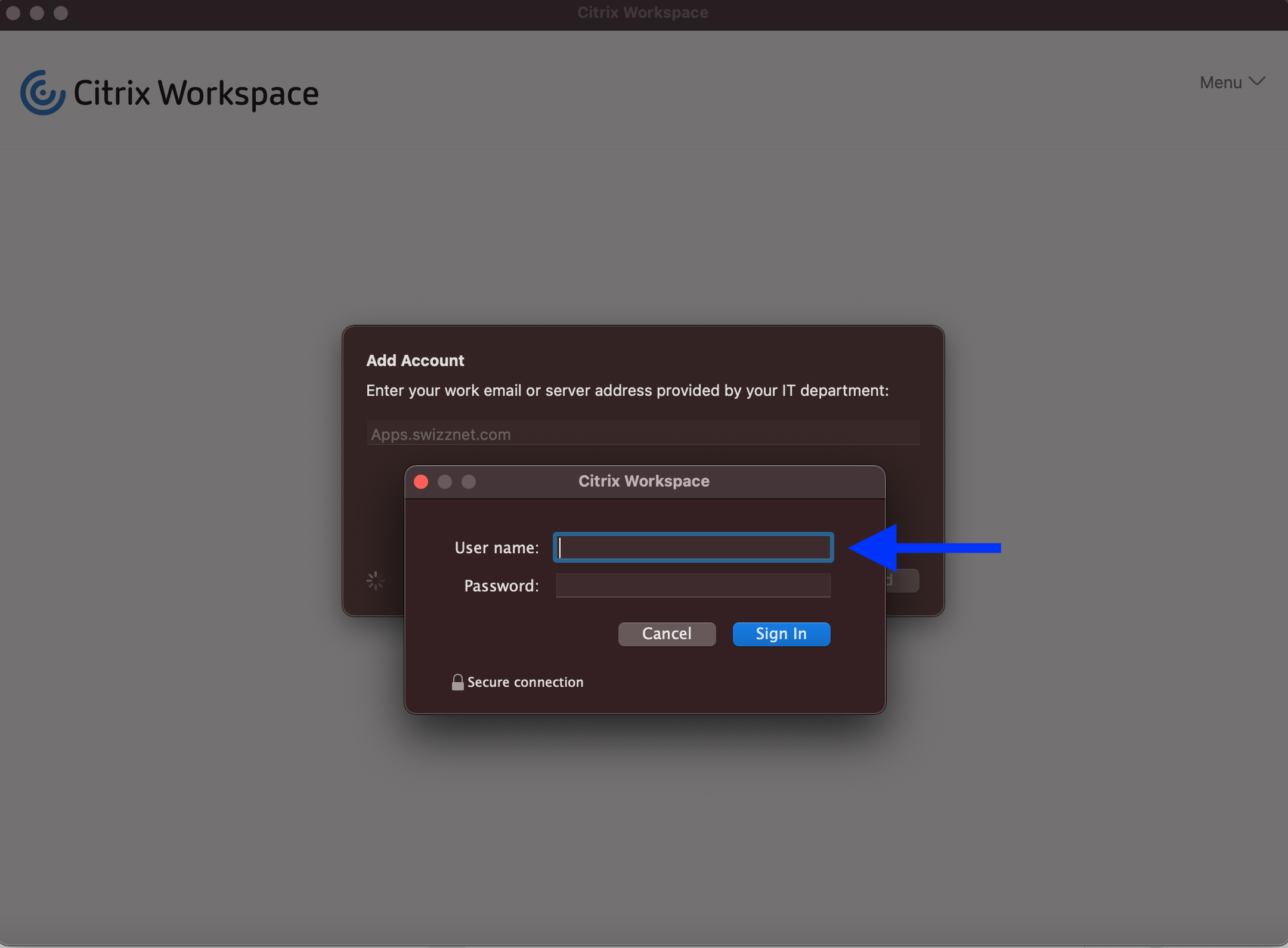 citrix workspace mac